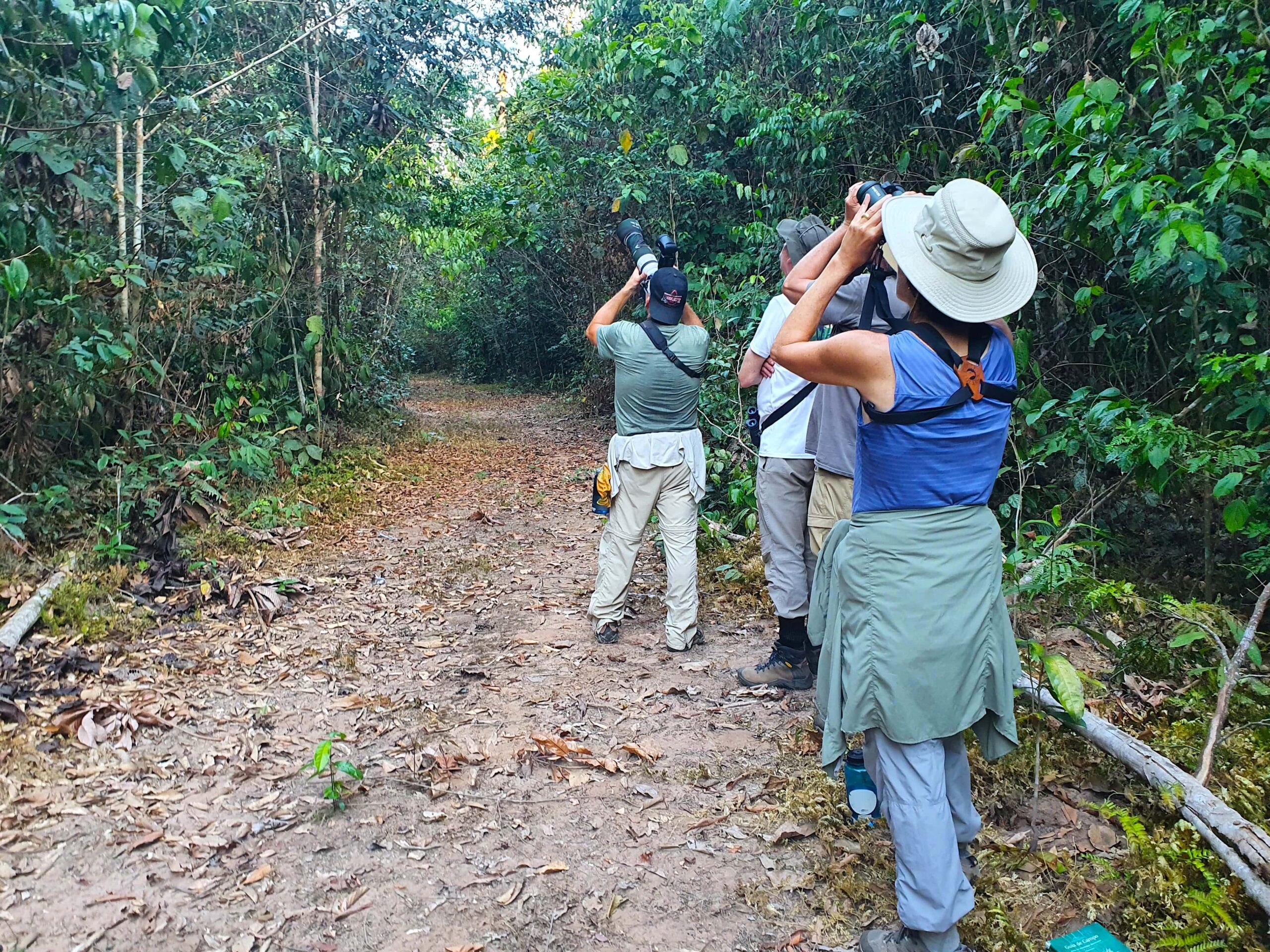 Brazil_Para_RioAzulJungleLodge_Birding-min