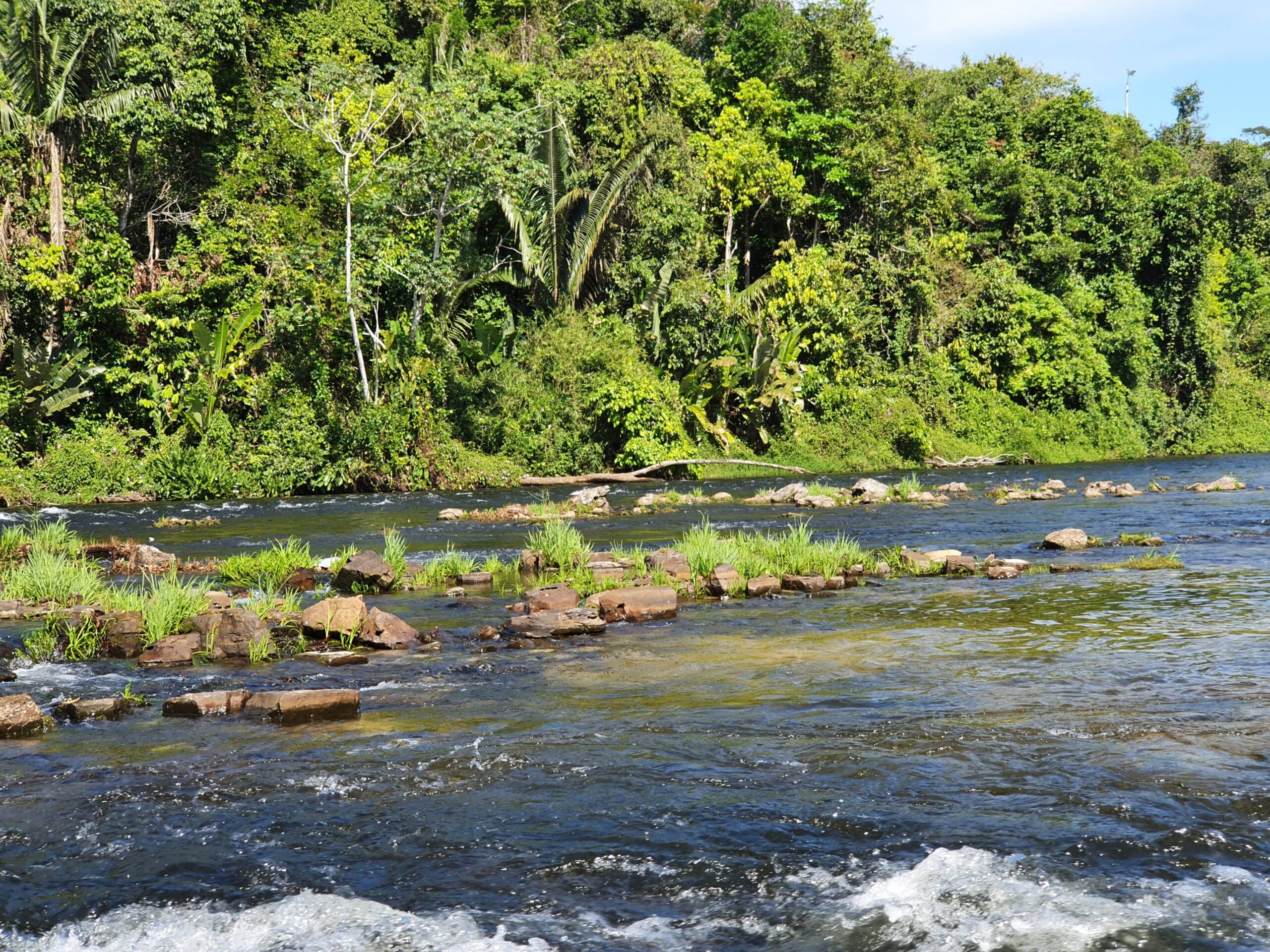 Brazil_Para_RioAzulJungleLodge_RioAzulRiver22-min